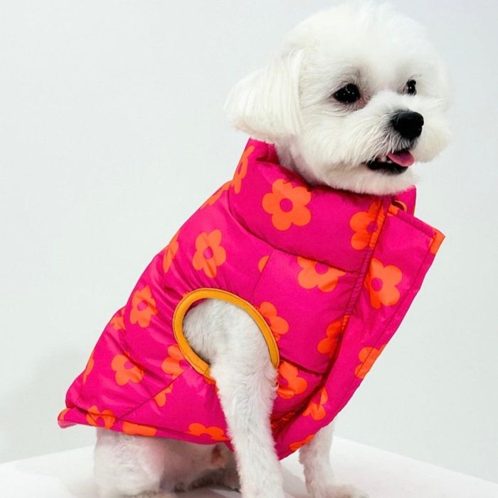 犬服デイジー☆様ハンドメイド