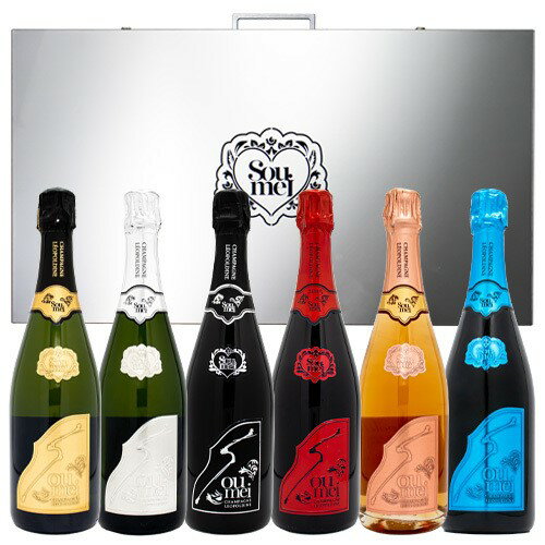 ソウメイアタッシュケース 空き瓶 6本