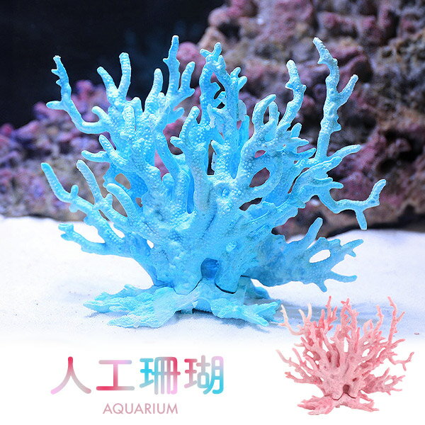 楽天市場】水槽 サンゴ 石の通販