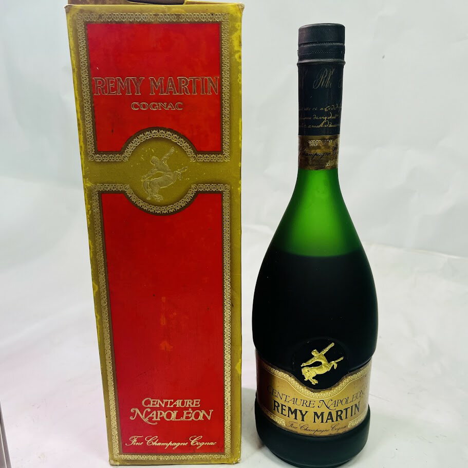 REMY MARTIN NAPOLEON コニャック 2本セット1リットル レミーマルタン