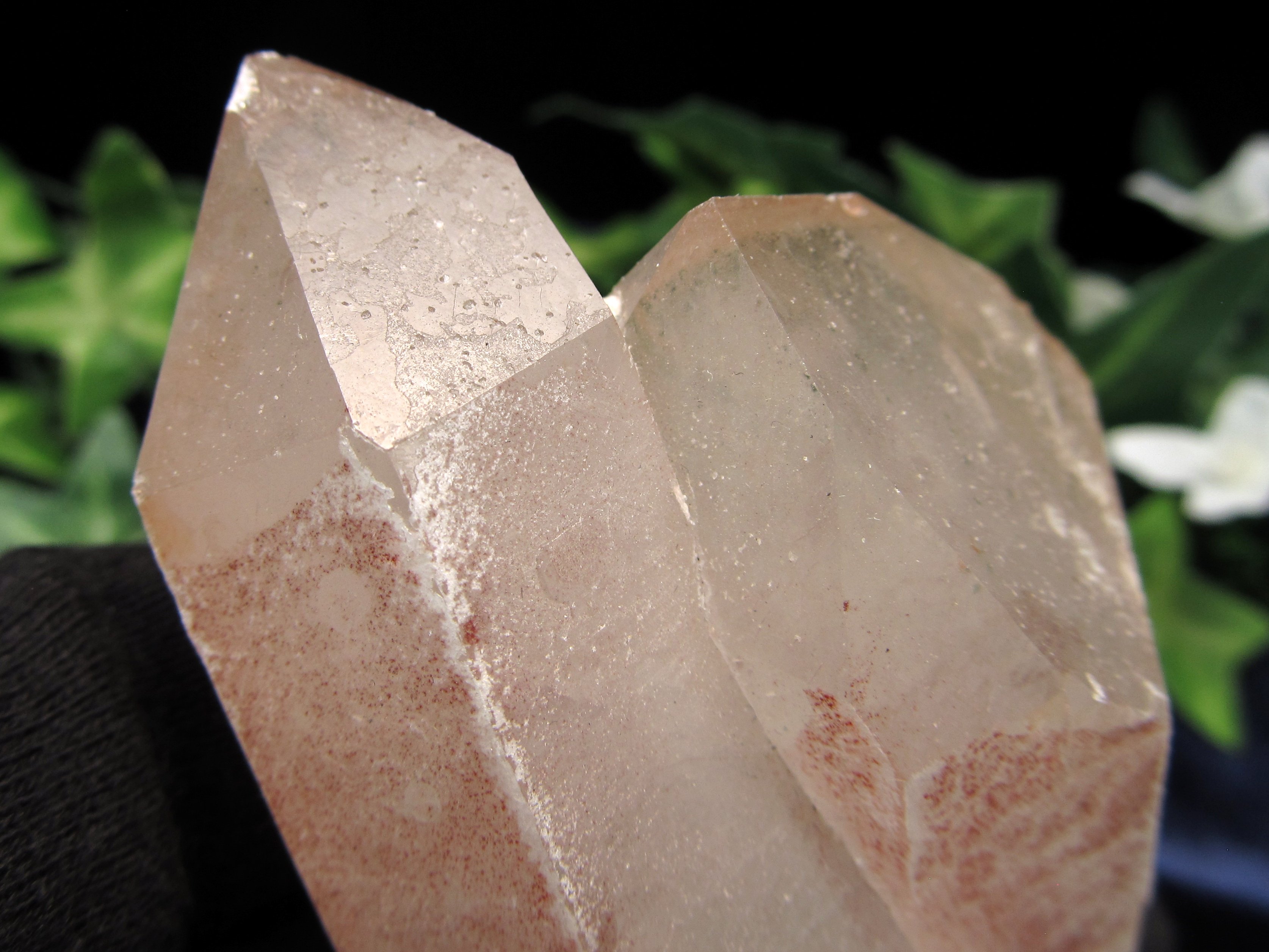 楽天市場】ピンク レムリアンシードの通販