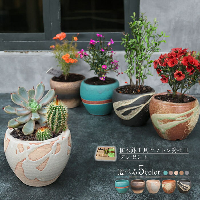 ミニ鉢、盆栽鉢、盆栽小鉢、鉢、植木鉢、山野草鉢、盆栽 小品盆栽 山野草