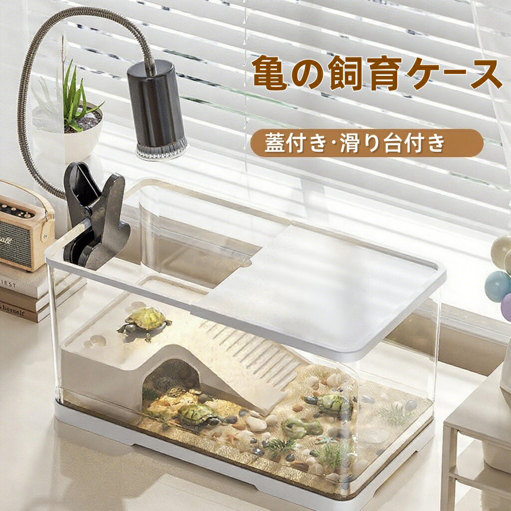 楽天市場】リクガメ 飼育セットの通販