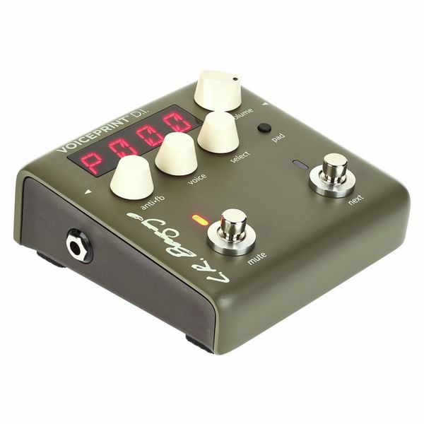 L.R.Baggs Voiceprint DI – United States