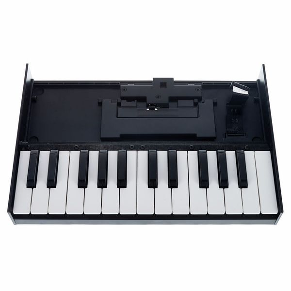 Roland Boutique K-25m Keyboard – United States