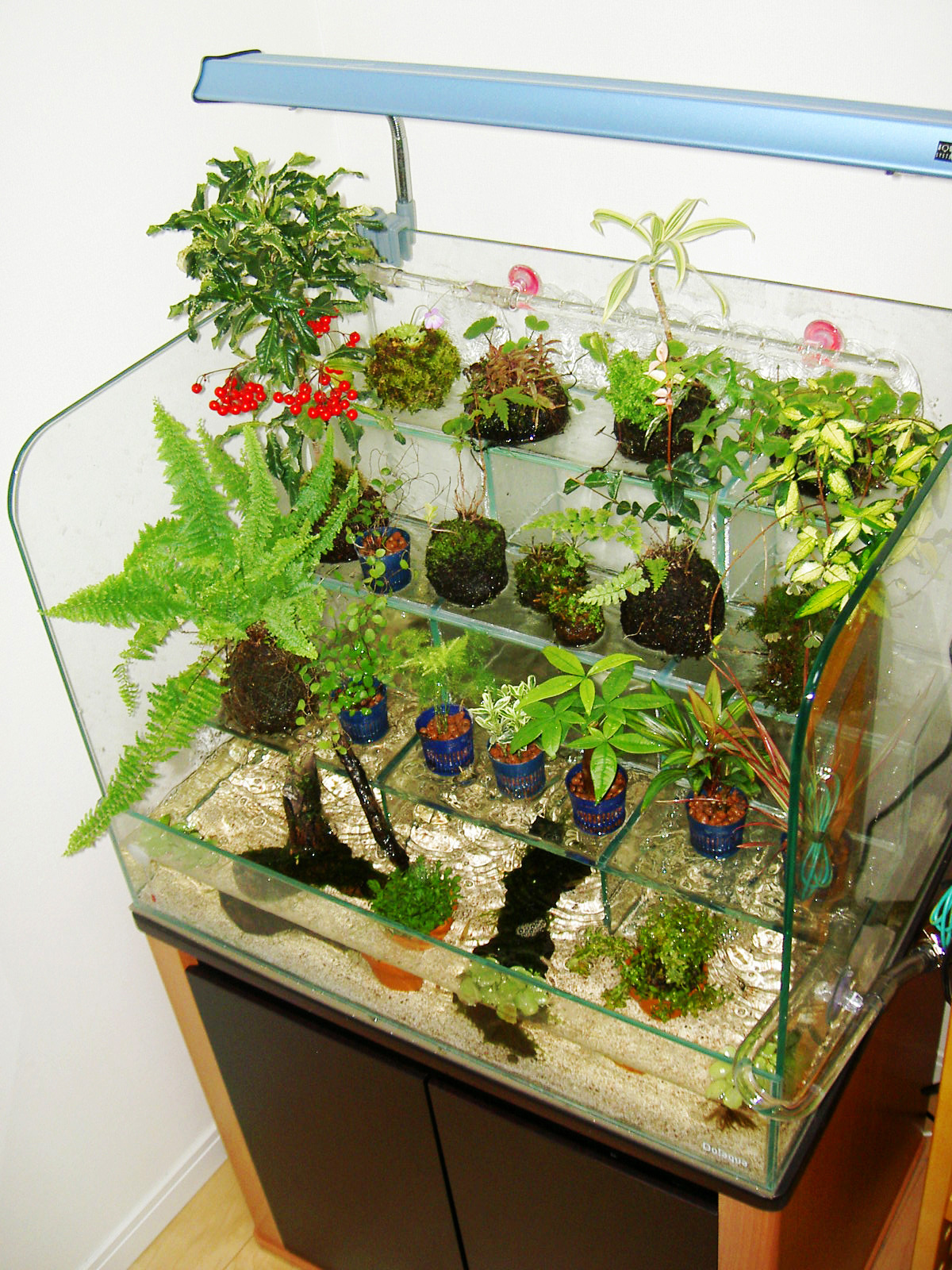 T*様 Do!aqua ADA ウォーターフォール 配送 30 T*様 Do!aqua ADA