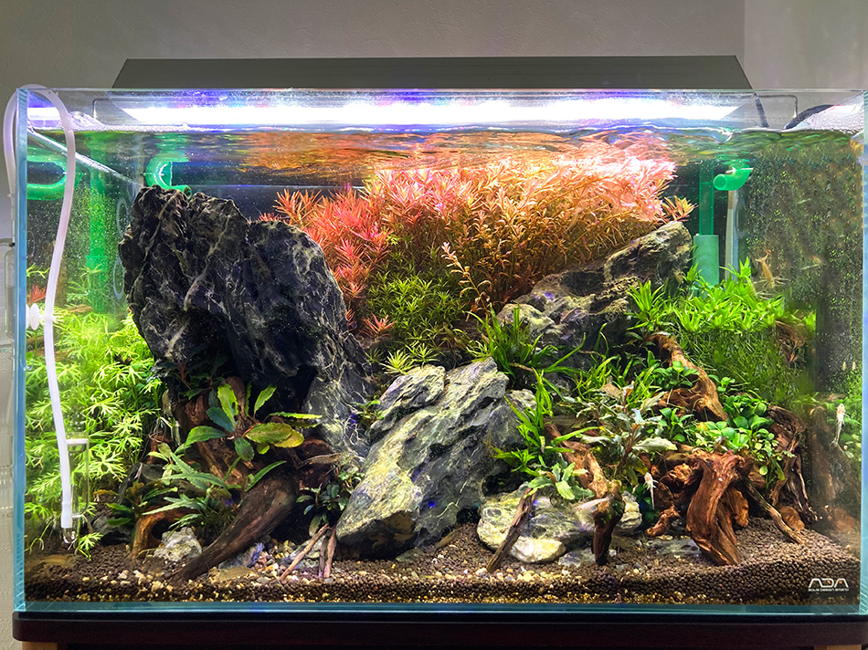 1[新品]ADA 龍王石 約4キロ☆水槽 レイアウト アクアリウム 良型 清