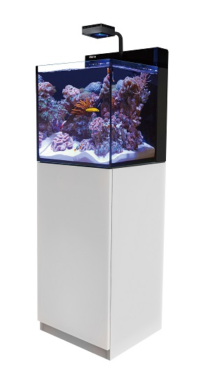 90㎝水槽スリム水槽オーダーメイド フード付海水魚水槽珊瑚LEDセット