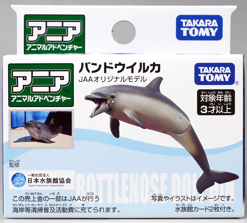 しながわ水族館（2024ハロウィン仕様）レポート6 ときてっと TOKITETO