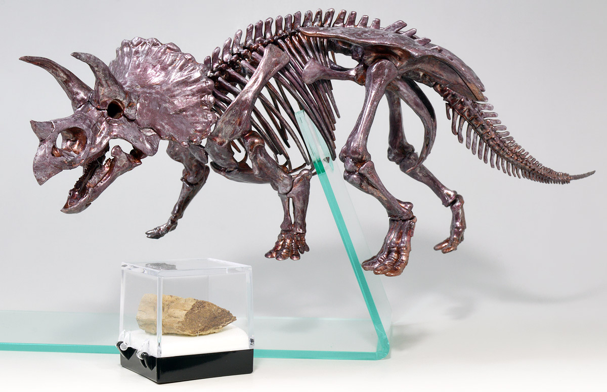 恐竜・古生物・動物・UMA 玩具レビュー1 ときてっと TOKITETO