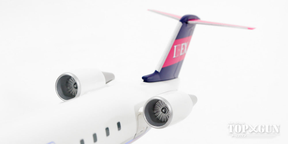 EverRise CRJ-100 IBEX アイベックス・エアラインズ （ギアなし