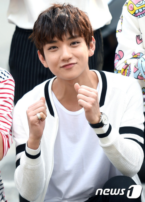 Opinionated Profile of Seventeen | Top of the Kpops