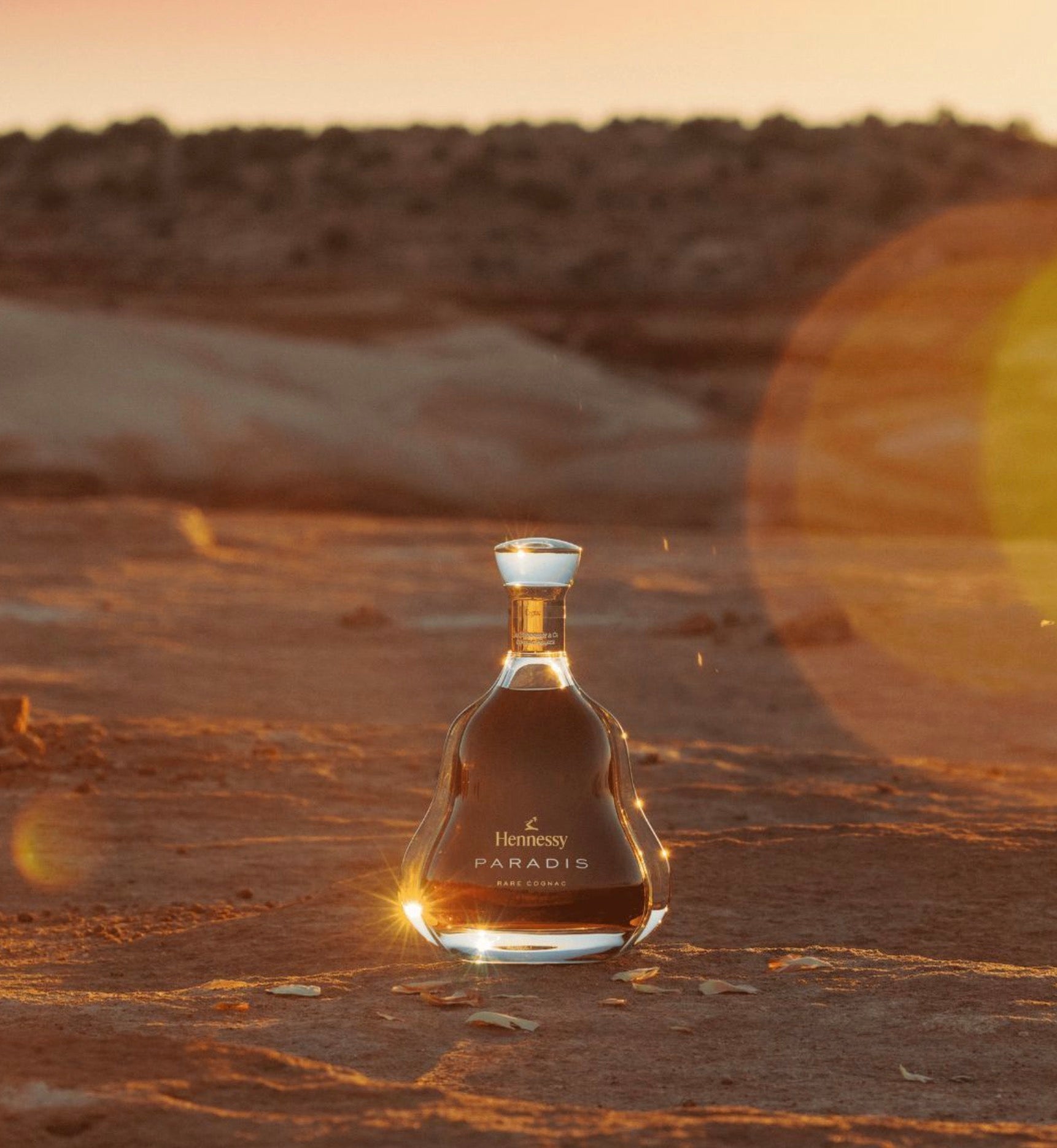 Hennessy Paradise ミニボトル Hennessy ( ヘネシー ) パラディ ミニ