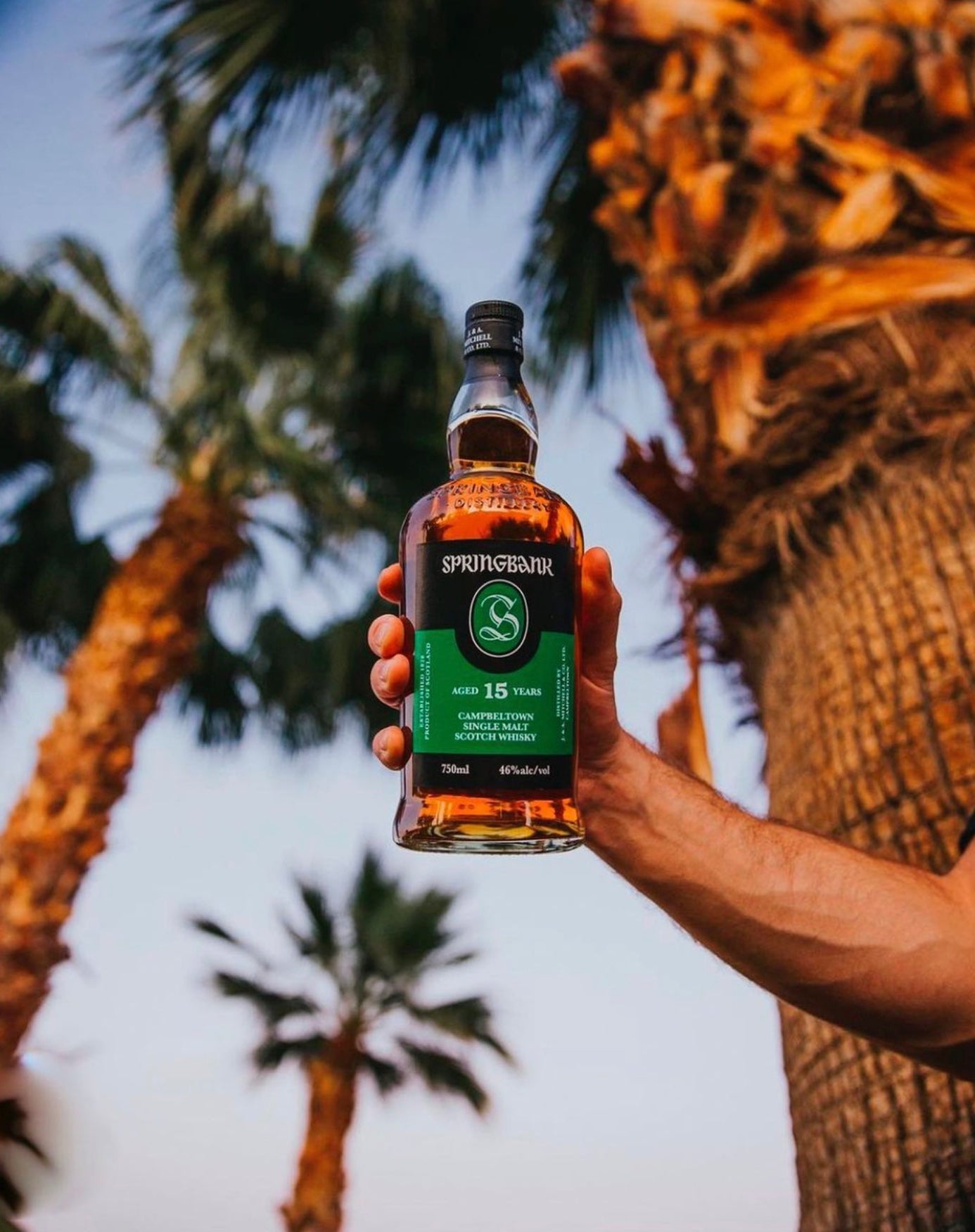 Springbank 15 Year Old Single Malt Scotch