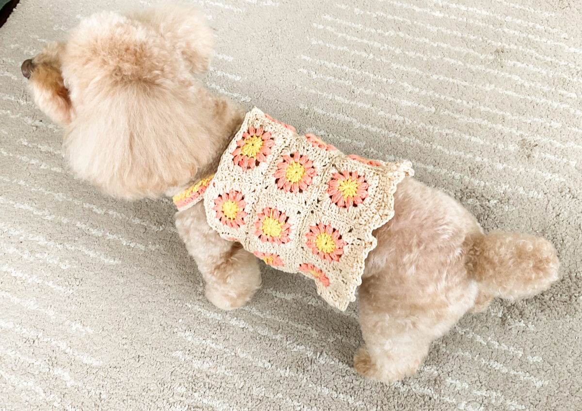 犬服 ワンピース(M) ꒡̈⃝Lily꒡̈⃝ハンドメイド 【公式通販】 みつ