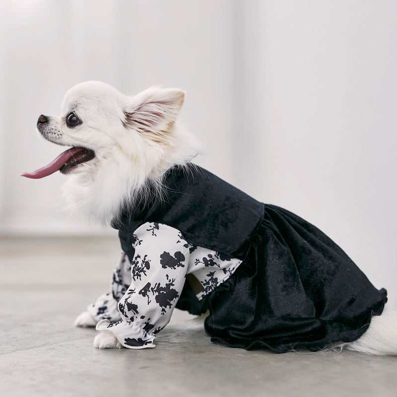 アンティークドールワンピ✴︎フレンチスリーブ 犬服 ハンドメイド