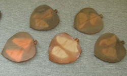 出井 尚文 - 協同組合岡山県備前焼陶友会