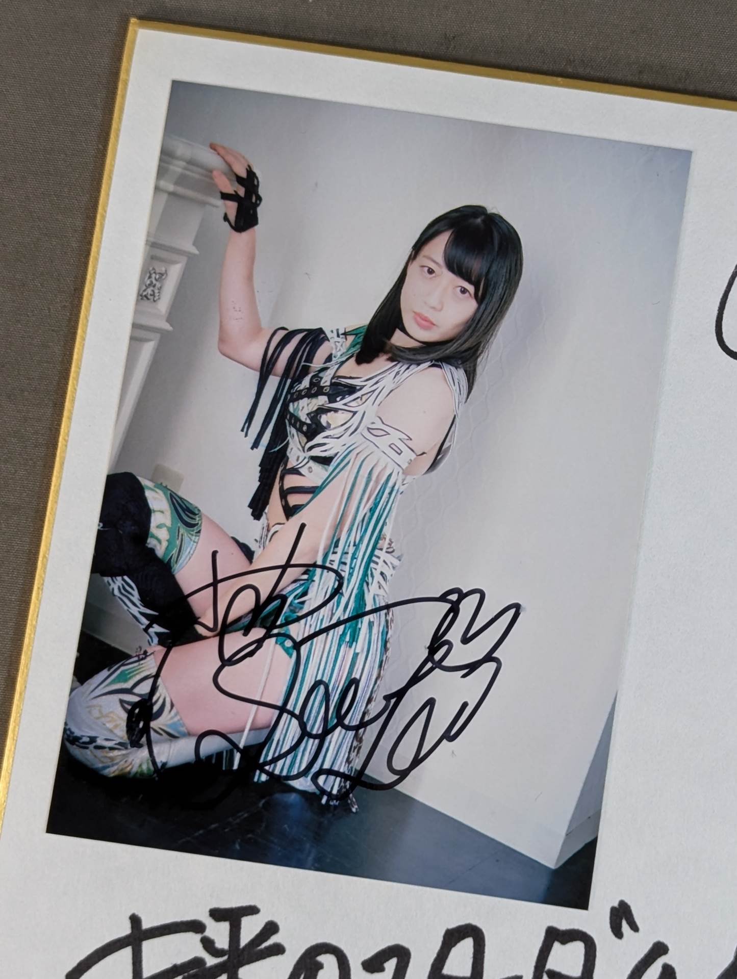 ヤンシヴァンクマイエル 版画 直筆サイン、エディション入り ヤンシ