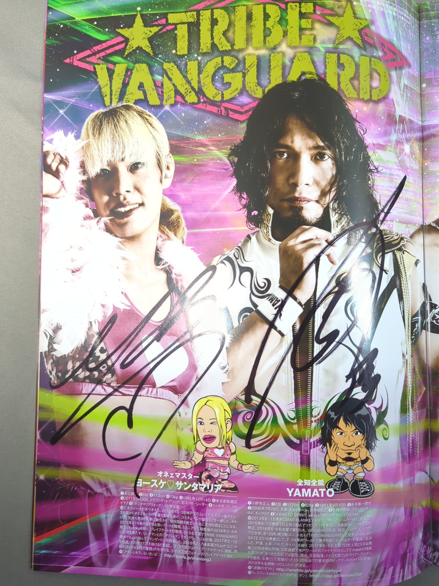 7選手直筆サイン入り】2018 DRAGON GATE OFFICIAL PAMPHLET Vol.66