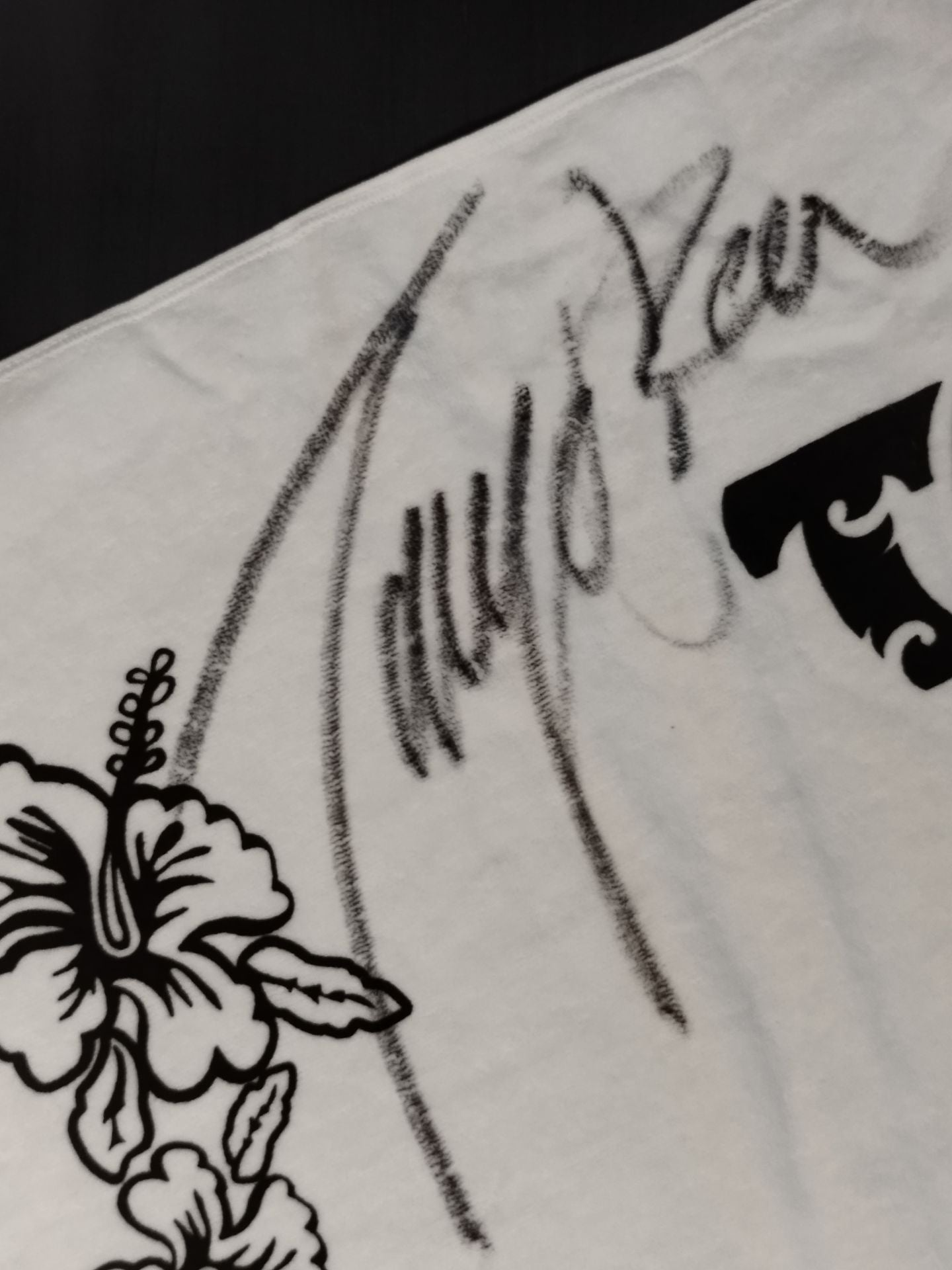 直筆サイン入り】太陽ケア スポーツタオル – 闘道館