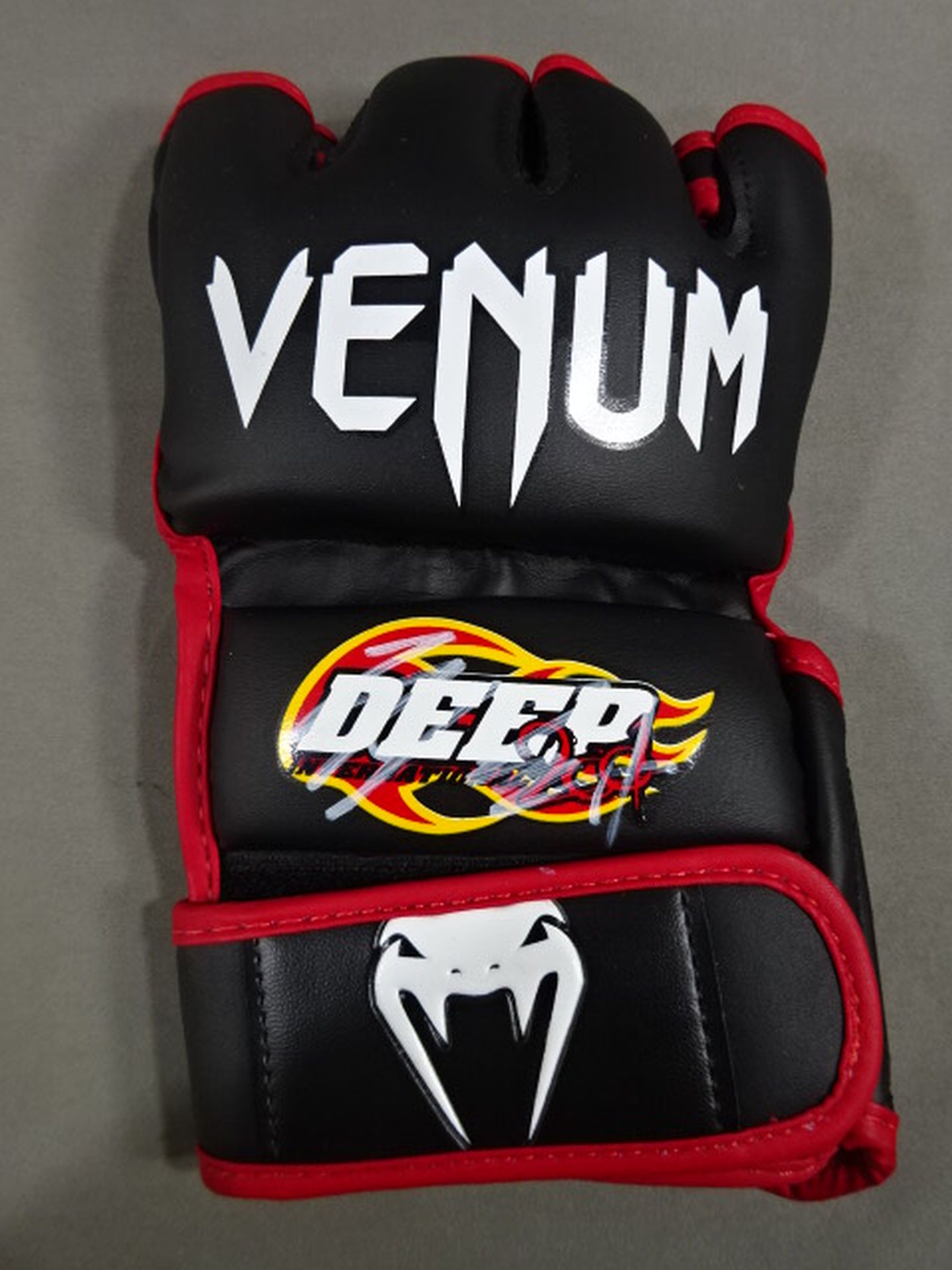 マニー・パッキャオ 直筆サイン入りボクシンググローブ左右セット