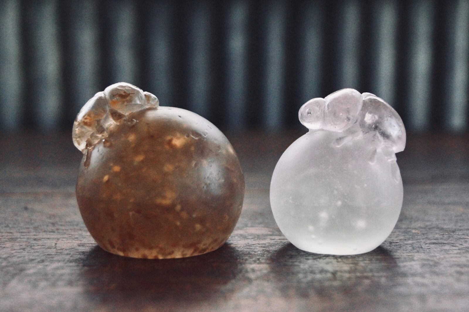 芝崎由華】新たな作品が入荷しました | 蟲と焼菓子 昆蟲菓舗 灯螂舎