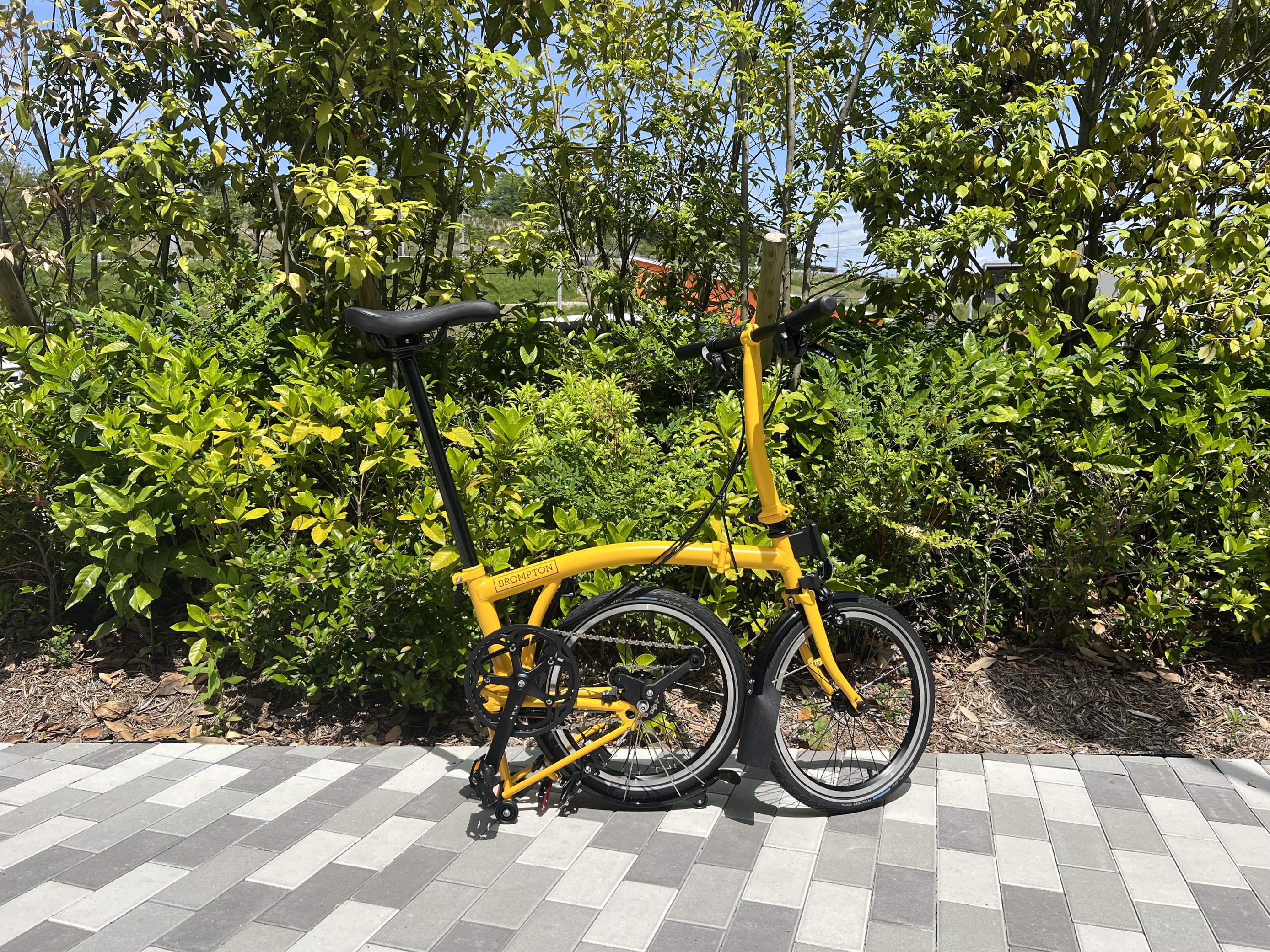 新色！バンブルビーイエロー！！ | トイファクトリーのミニベロ専門店