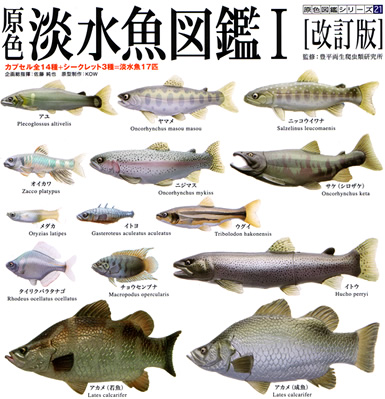 原色淡水魚図鑑 I・II 改訂版 淡水魚フィギュア数個 原色淡水魚図鑑I