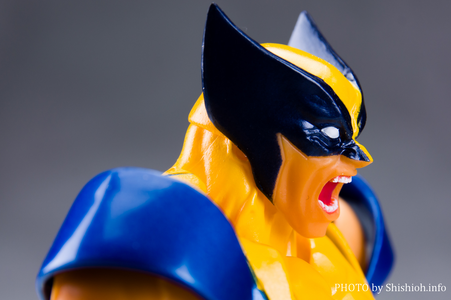 レビュー】Amazing Yamaguchi 005 ウルヴァリン フィギュア