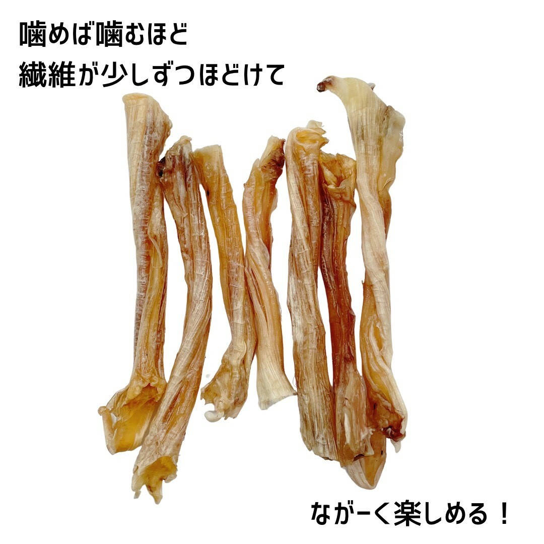 楽天市場】〈鹿アキレス腱 40g〉 エゾ鹿 アキレス 30g アキレス腱 犬