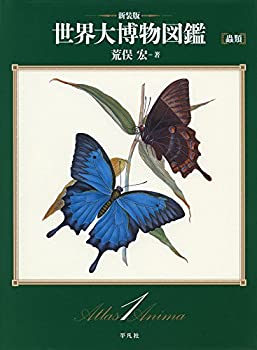 未使用】【中古】 蟲類 2025年最新】Yahoo!オークション -クワガタ昆虫