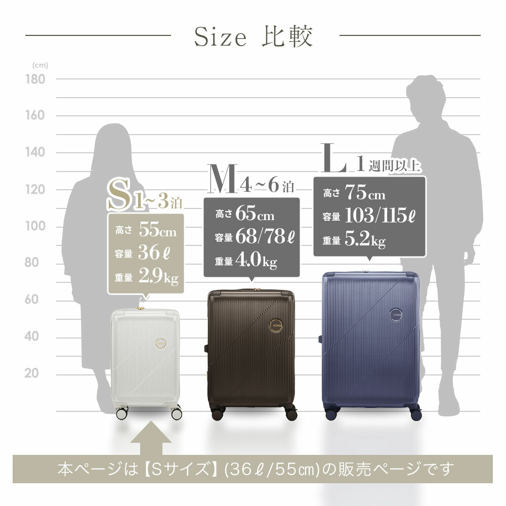 楽天市場】正規品 American Tourister アメリカンツーリスター スーツ