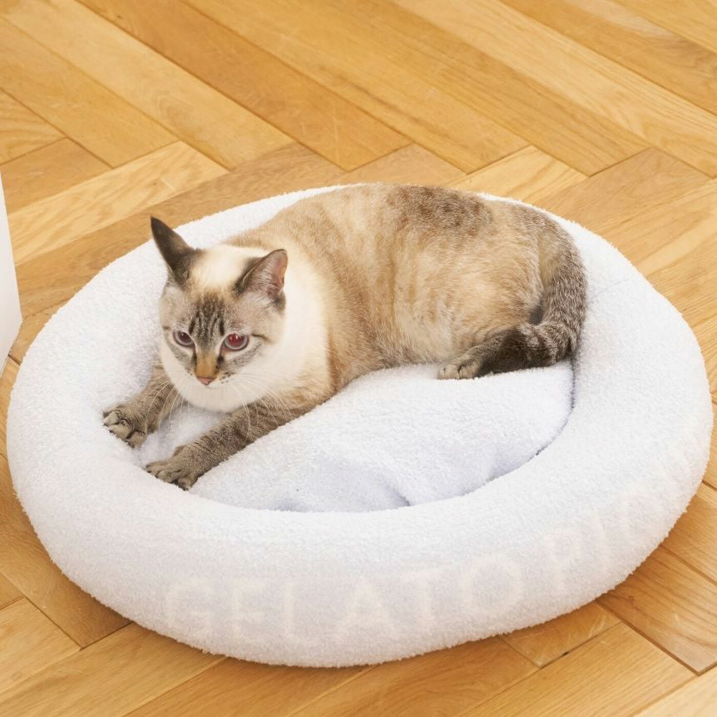 楽天市場】ジェラートピケ gelato pique CAT&DOG ベビモコベッドM