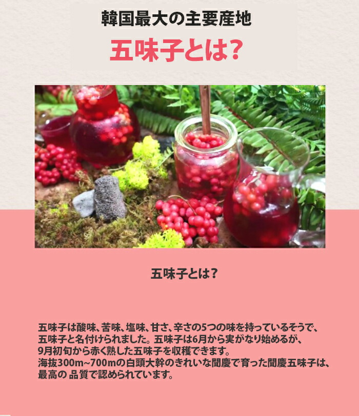 楽天市場】【送料無料】韓国聞慶 乾五味子500g 自然産 五味子茶 自然