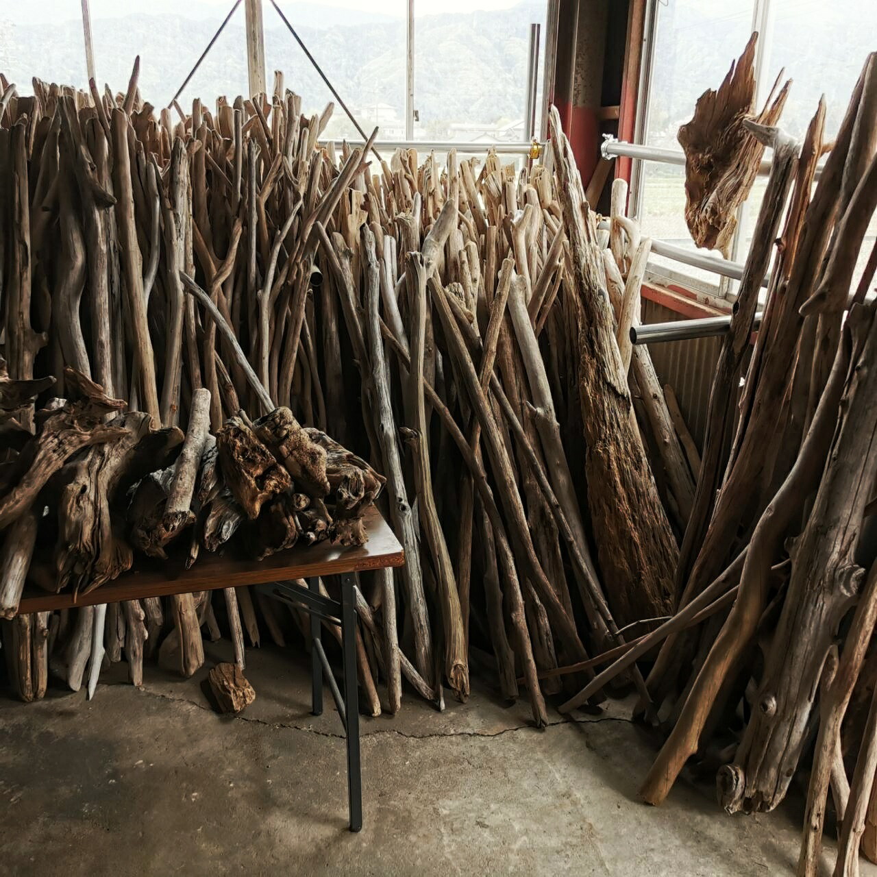 楽天市場】【送料無料】南信州産 天然流木 長い流木 アソート販売