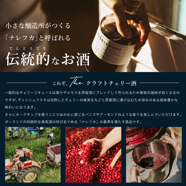 楽天市場】【送料無料】チェリーリキュール ヴィシニェフスキ 700ml