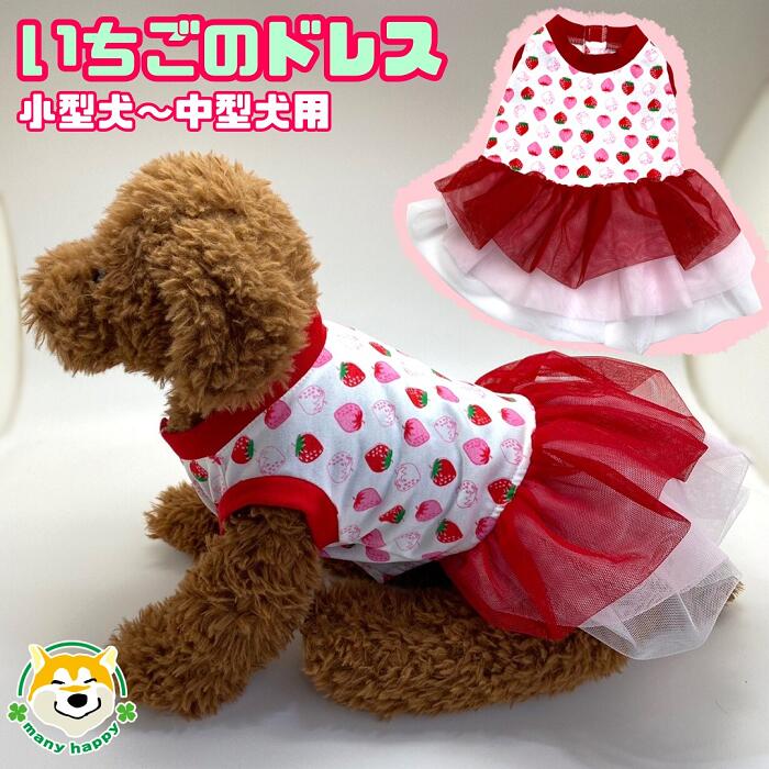 楽天市場】クーポン配布中 【 小型犬用 】 犬 服 ドレス イチゴ 結婚