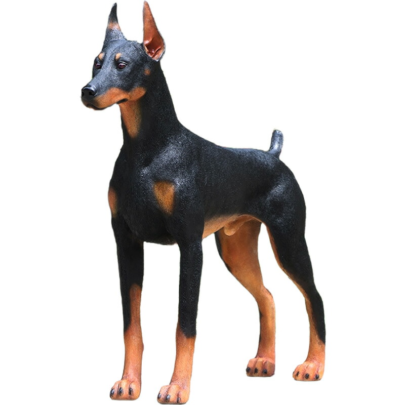 楽天市場】ドーベルマン Standing Doberman 強化プラスチック (FRP