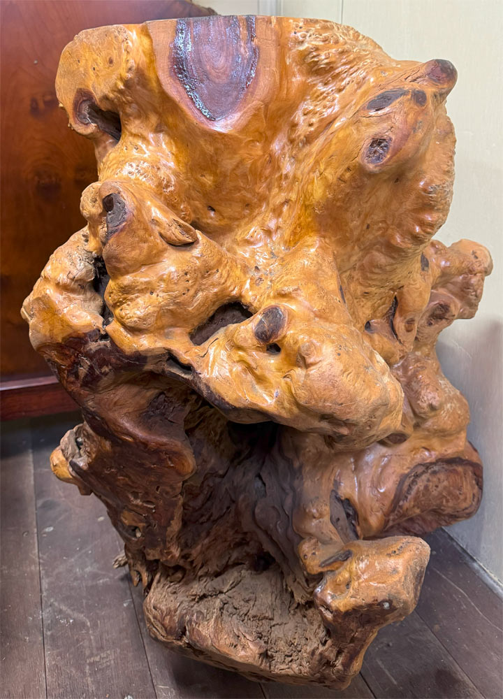 楽天市場】送料無料 自然 木 楠 花鉢 展示品 オブジェ H 75cm 家具