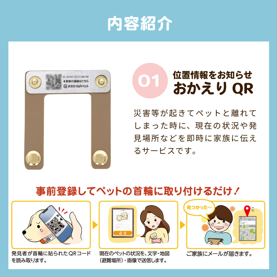 楽天市場】ペット防災セット 6点セット 8点セット【送料無料】ペット用