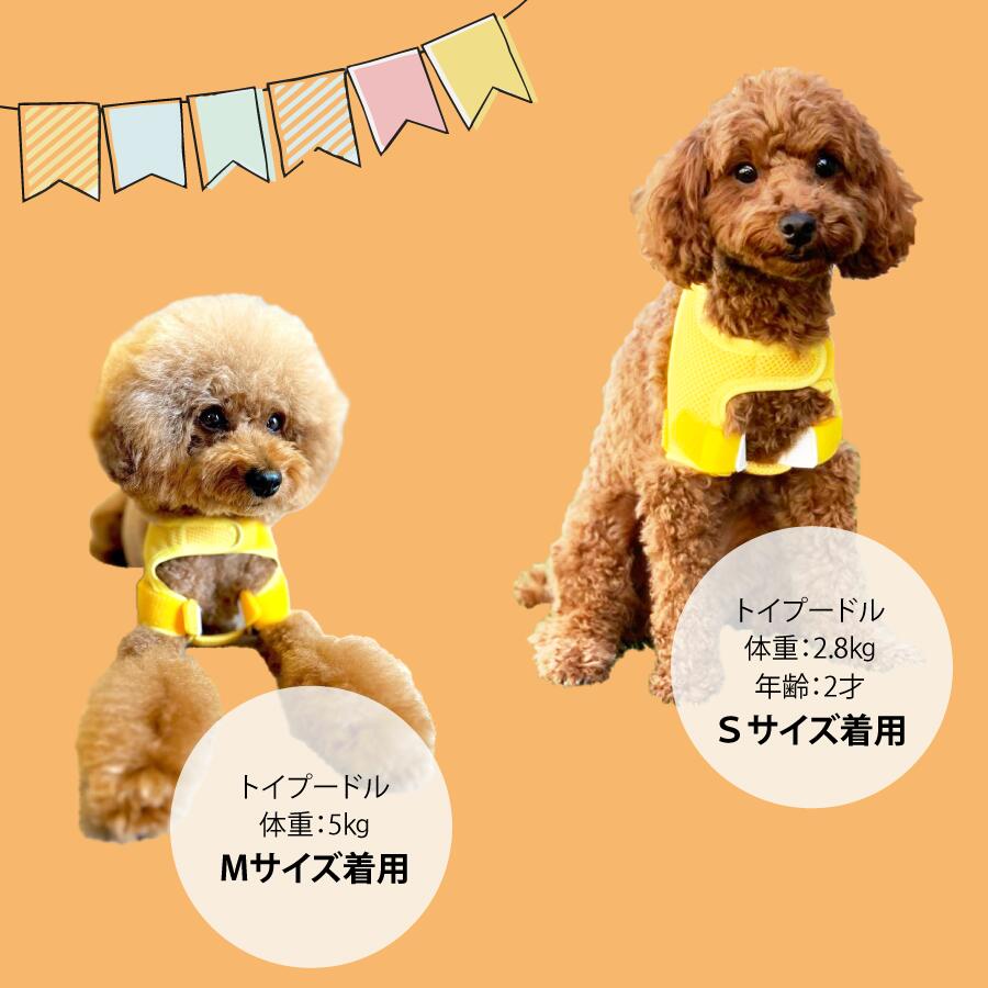 楽天市場】ホールドショルダー holdshoulder 肩脱臼 肩安定 固定 肩