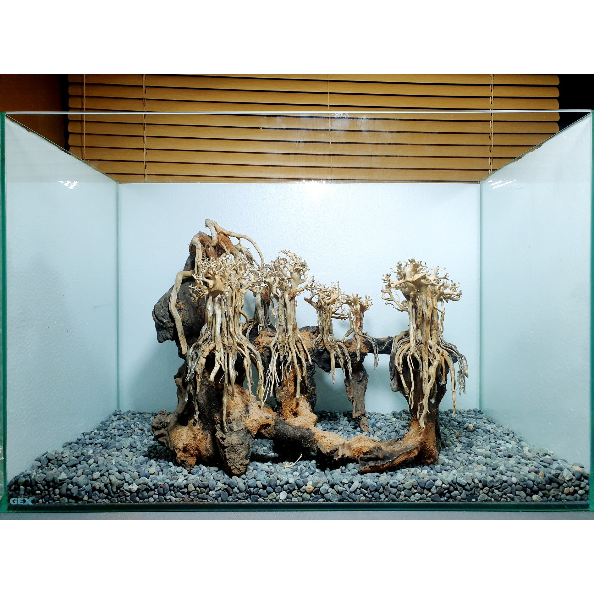 楽天市場】コンパクト キュービック熱帯雨林のバニヤン流木（水槽専用