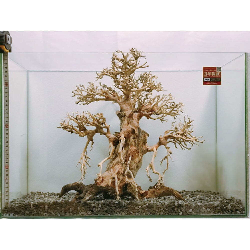 楽天市場】盆栽流木 直幹（水槽専用アート流木）盆栽アート 盆栽