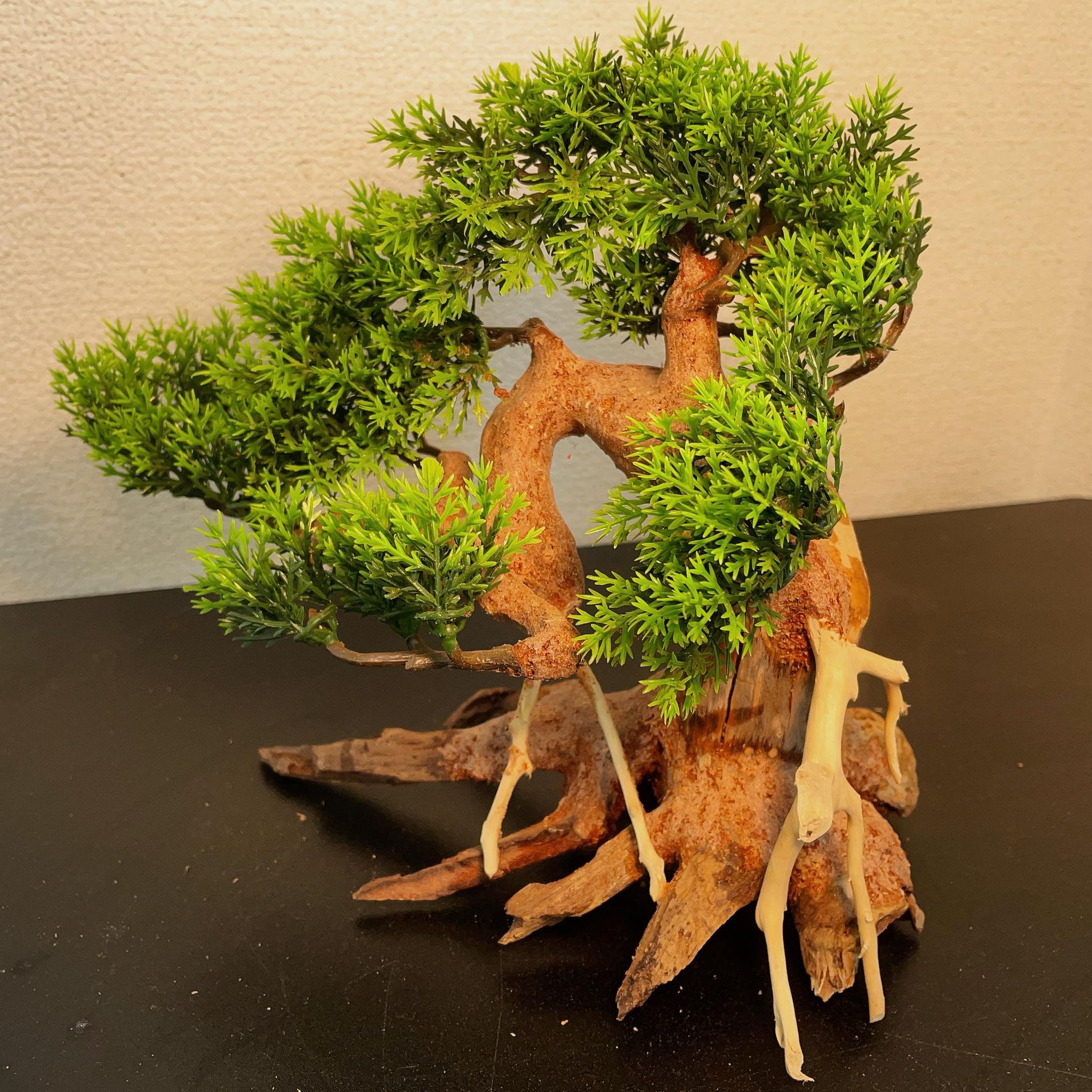 楽天市場】【お買い得・送料無料】小型溶岩石・樹脂水草付き盆栽流木