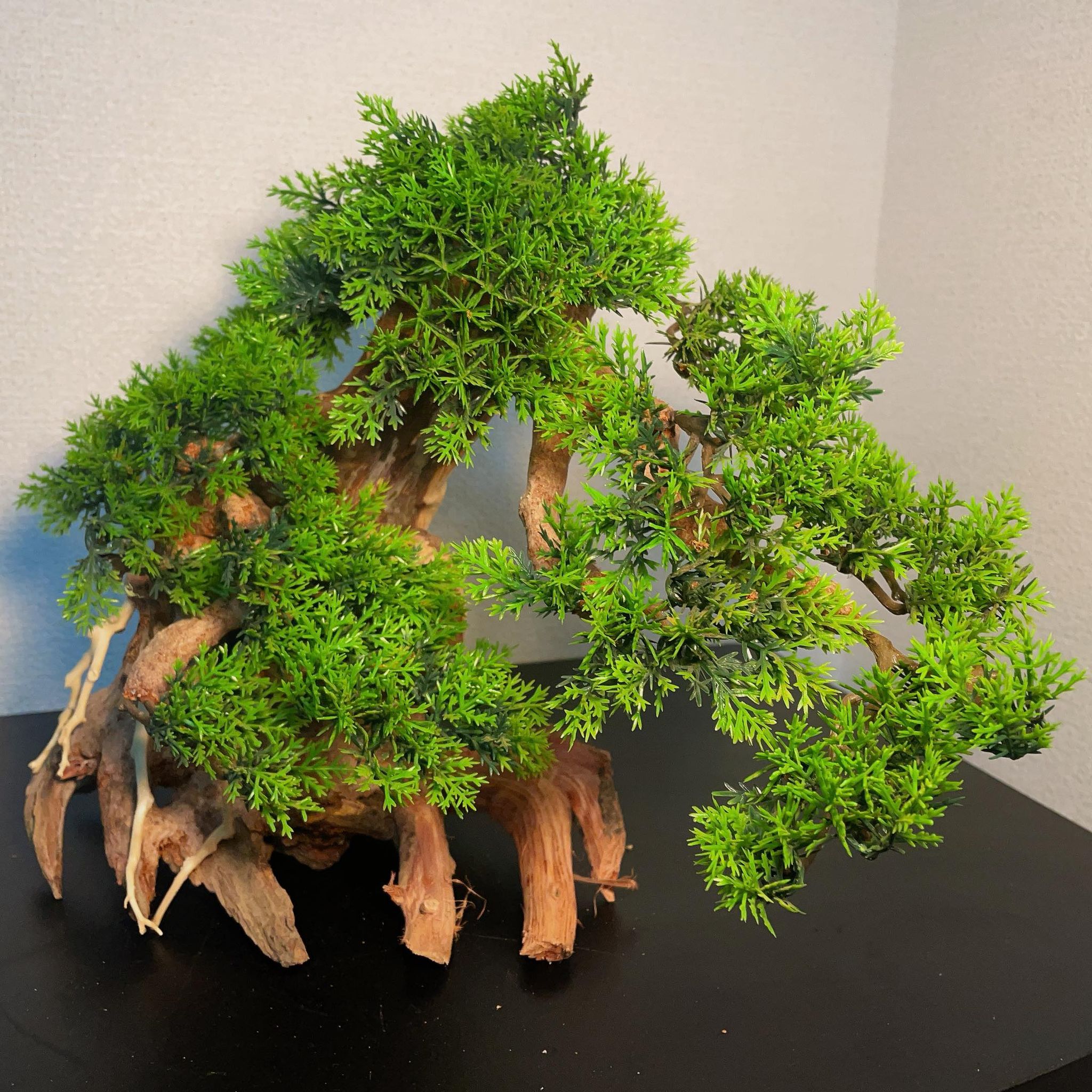楽天市場】【送付無料・お買い得】樹脂水草付き蟠幹盆栽流木（水槽専用