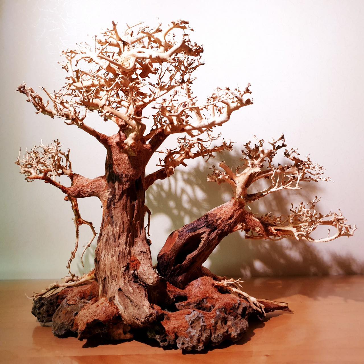 楽天市場】【送付無料・お買い得】溶岩石付き中型親子盆栽流木（水槽