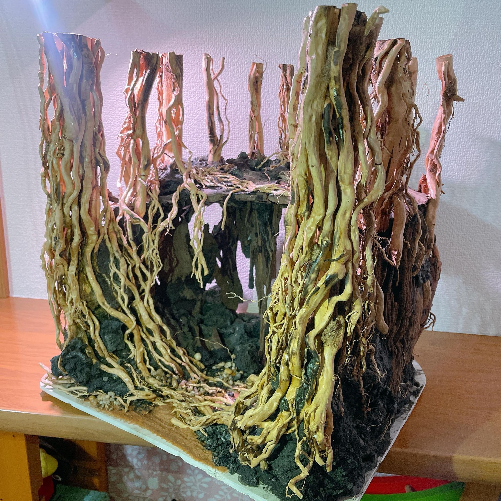 楽天市場】中型空洞型熱帯雨林のバニヤン流木 (水槽専用アート