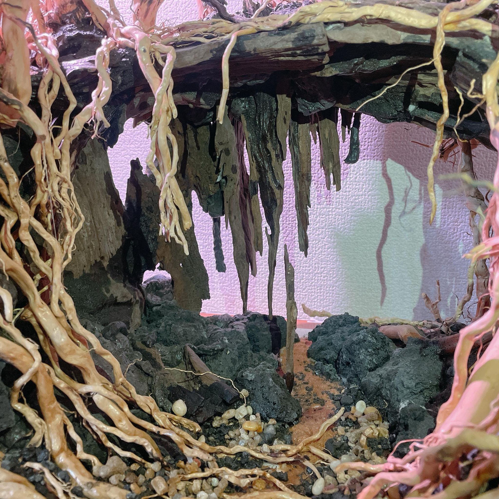 楽天市場】中型空洞型熱帯雨林のバニヤン流木 (水槽専用アート