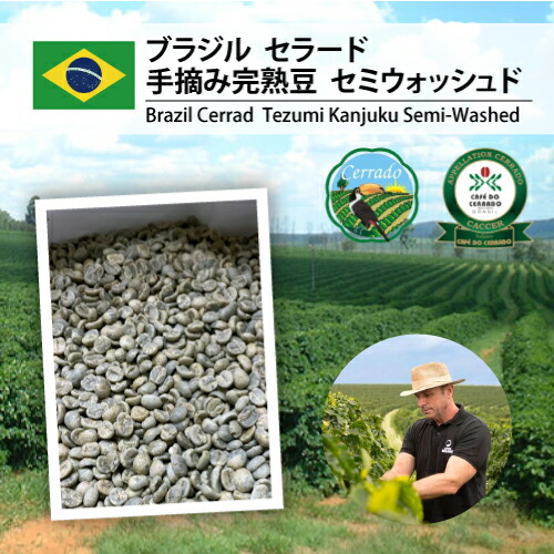 楽天市場】【送料無料(一部地域を除く）】コーヒー 生豆 珈琲 豆 未焙