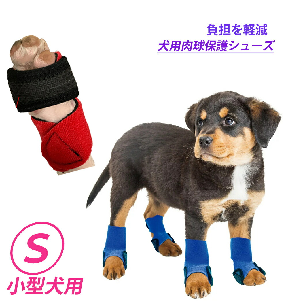 楽天市場】犬用肉球保護シューズ Sサイズ 小型犬用 2枚組(脚2本分